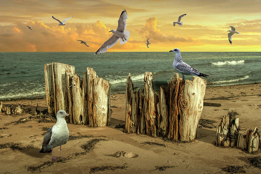 Shore Pilings and Gulls on the Ocean Beach Shore on Prince Edwar Photograph by Randall Nyhof