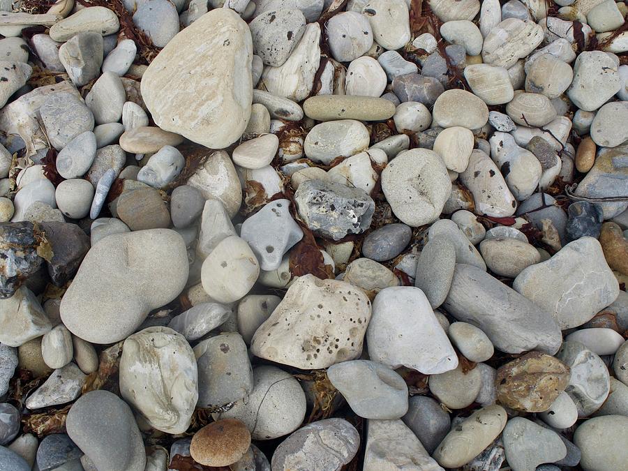 Shore Stones Photograph by Denise Benson