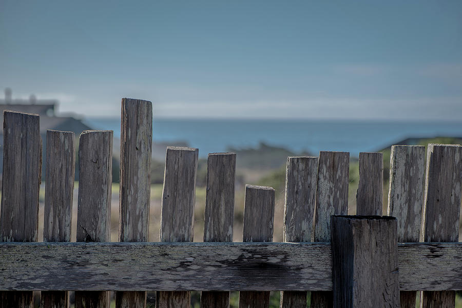 Shore Wood Fence Photograph by Mike Fusaro