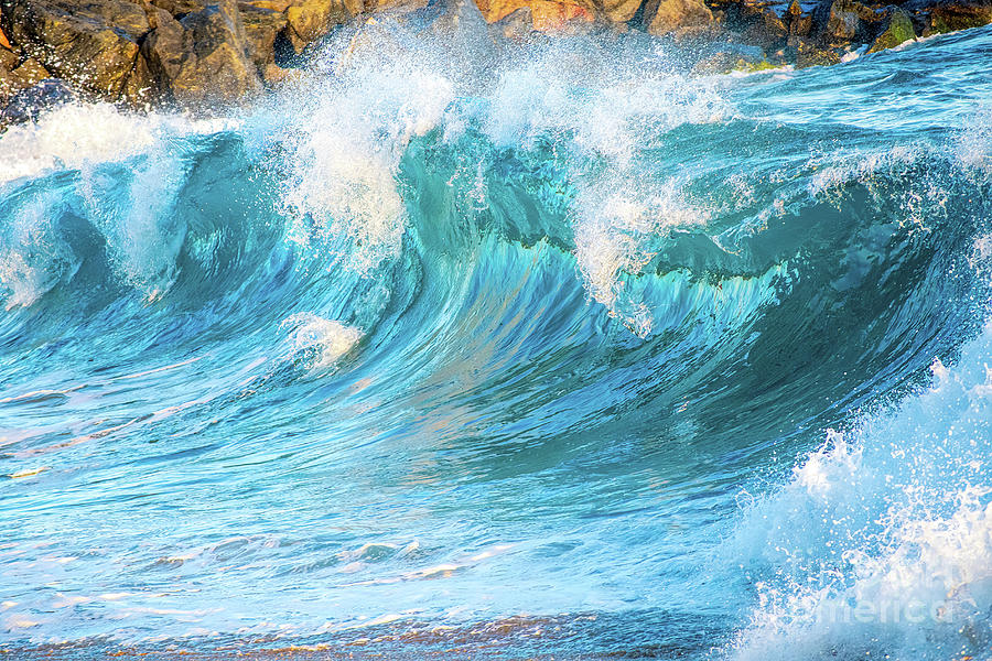 Shorebreaking At The Wedge Photograph by Jennifer Jenson - Fine Art America