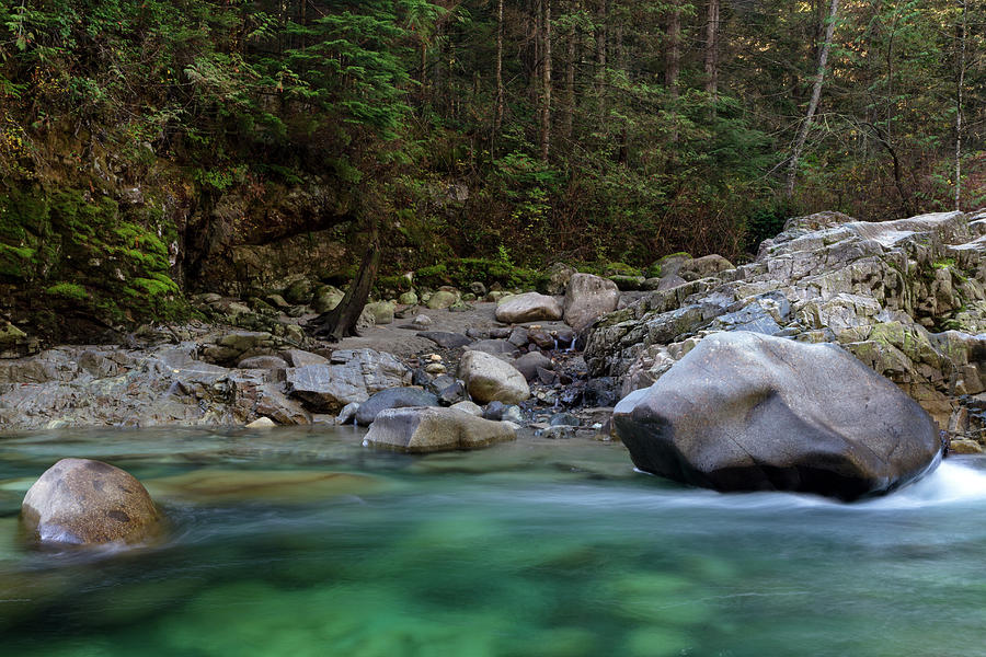 Shoreline of Gold Creek Photograph by Michael Russell