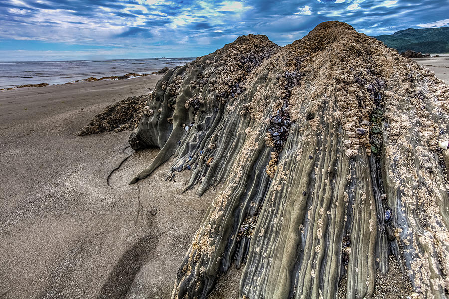Shoreline Rocks Photograph by Tommy Farnsworth