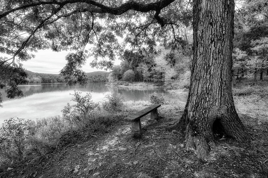 Shores Lake Black and White Photograph by James Barber