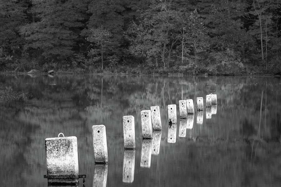 Shores Lake Lineup Photograph by James Barber