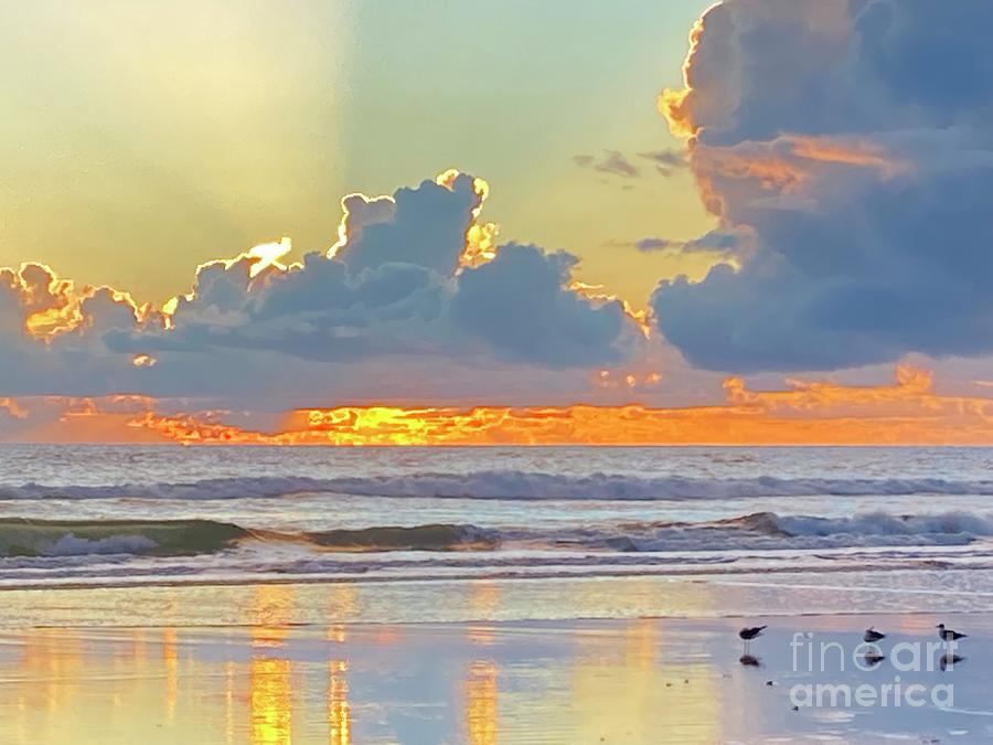 Shores sunrise Photograph by Julianne Felton
