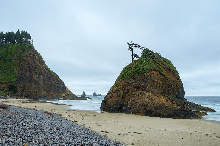 Short Beach and Sea Stack, Tillamook, Oregon, Pacific Northwest, USA ...