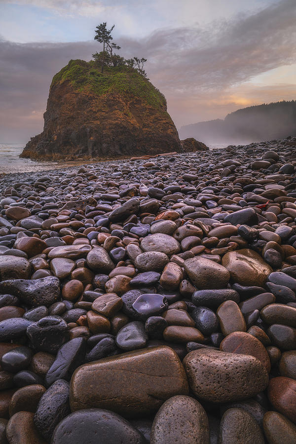 Oregon Photograph - Short Beach Sunrise by Darren White