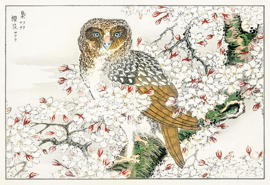 Short-eared Owl and Cherry Flower  from Pictorial Monograph of Birds - 1885 by Numata Kashu - 1838-1 Painting by Les Classics
