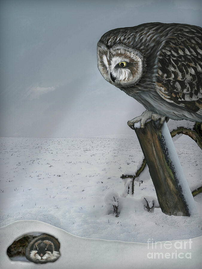 Short-eared Owl - Asio Flammeus And Norwegian Lemming - Lemmus Lemmus - Fineart - Stock Illustration Painting