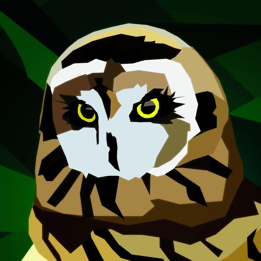 Short Eared Owl Portrait Design Digital Art by Dan Sproul