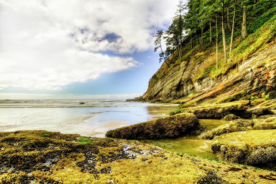 Short Sands Beach, Oregon Photograph by Kay Brewer