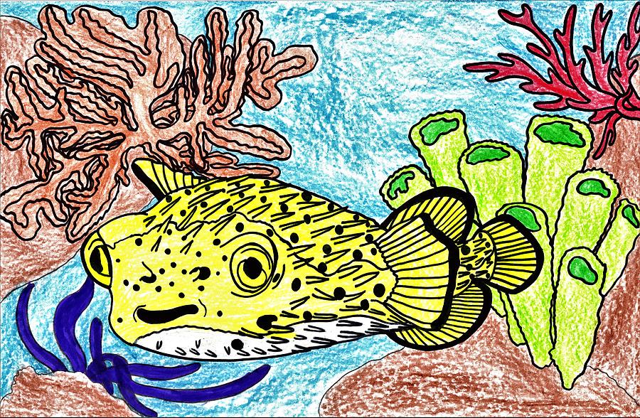Fish Drawing - Short-Spined Porcupine Puffer by Ryan