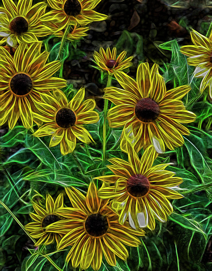 Short Yellow Sunflower Photograph by Bill Barber