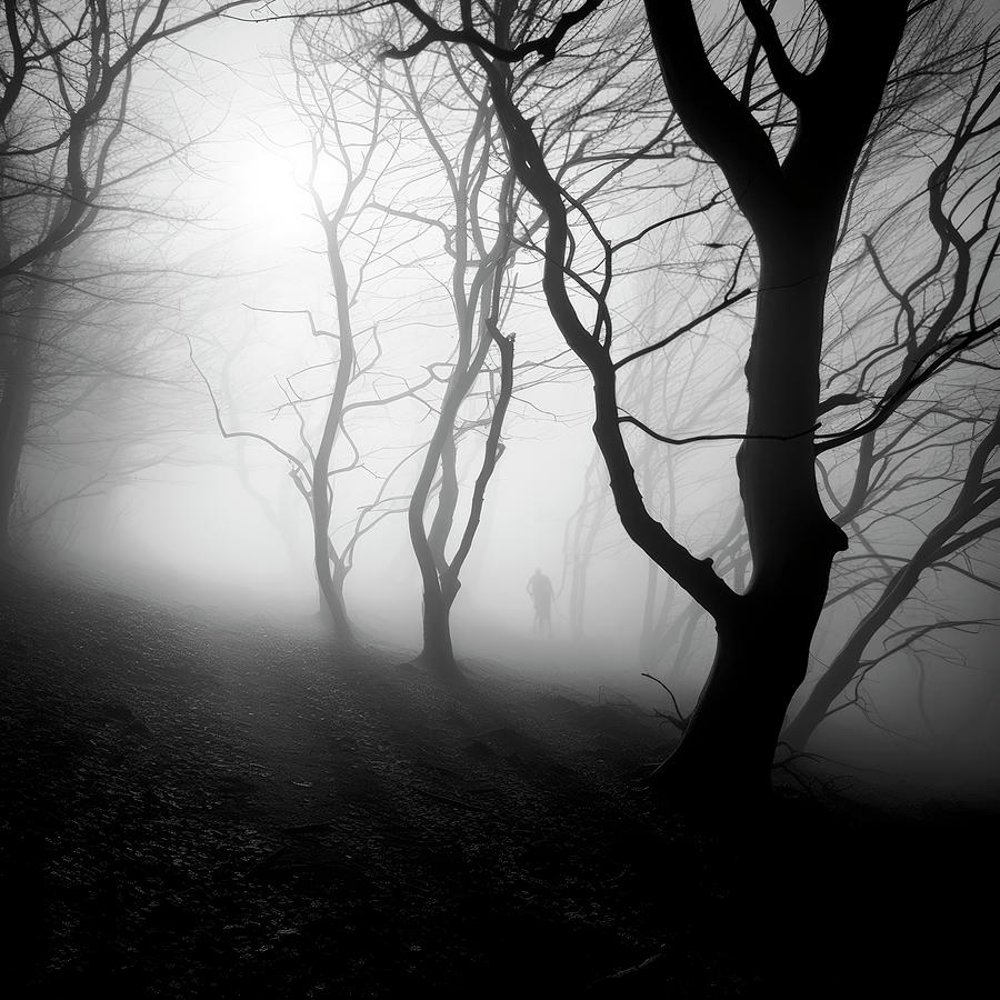 Shortcut Through Forest Fog Digital Art by YoPedro