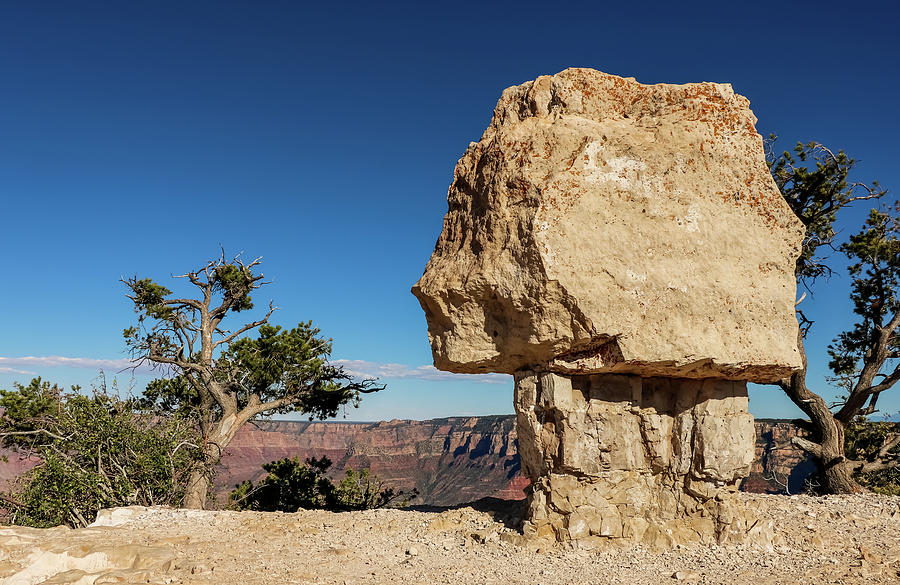 Shoshone Point Photograph by Dawn Richards