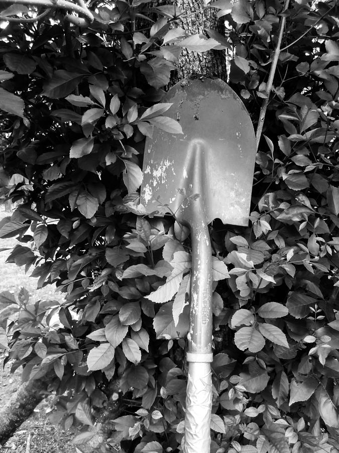 Shovel Amongst Leaves  Photograph by W Craig Photography