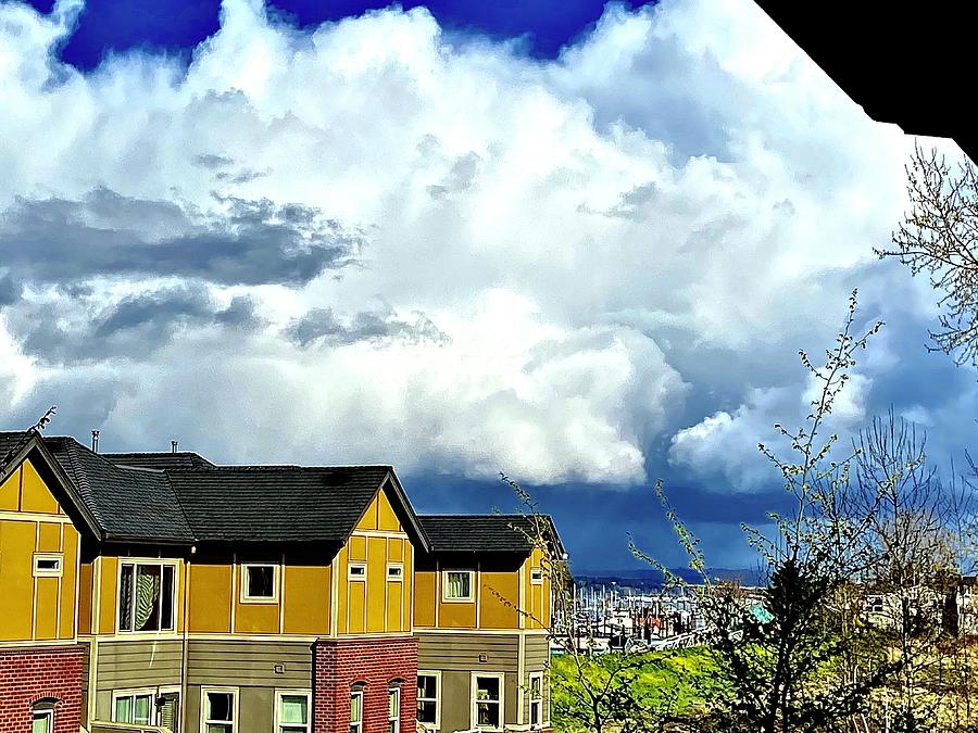 Shower of Hail from my patio Photograph by Michael Oceanofwisdom Bidwell