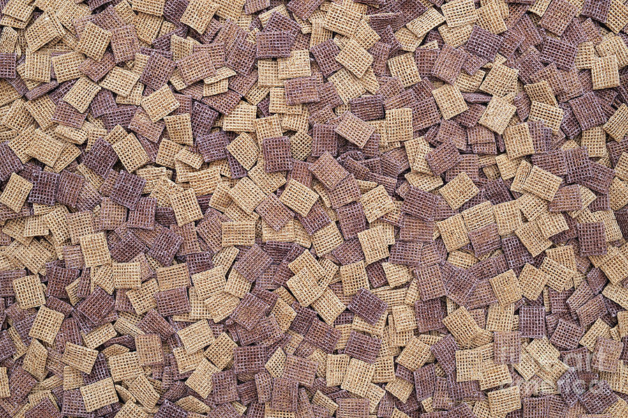 Shreddies Photograph by Tim Gainey