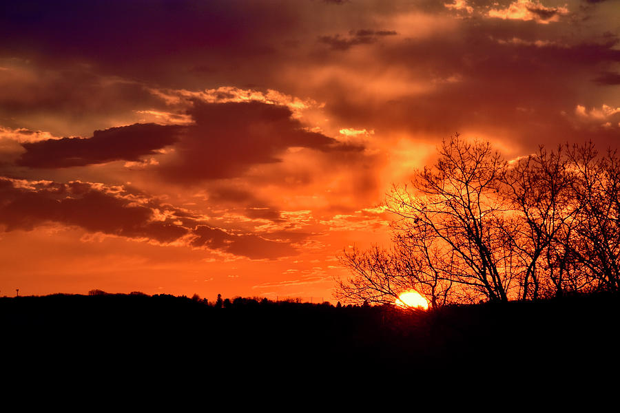Shrewsbury sunset  Photograph by Monika Salvan