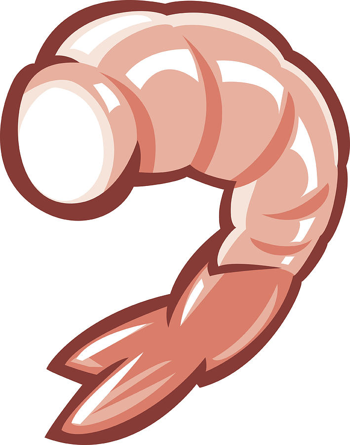 Shrimp Drawing by Big_Ryan
