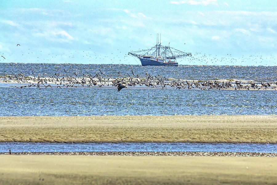 Shrimp Boat and Shorebirds Photograph by Patricia Schaefer