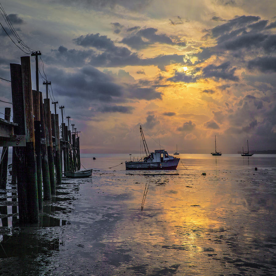 Shrimp boat in the morning Photograph by Donald Kinney