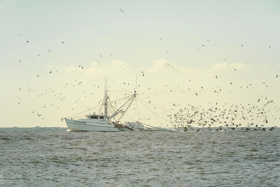 Shrimp Boat on the Atlantic Photograph by Joni Eskridge