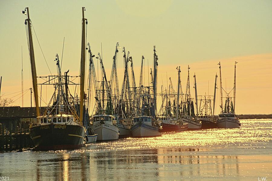 Shrimp Boats Darien Georgia Waterfront Photograph by Lisa Wooten