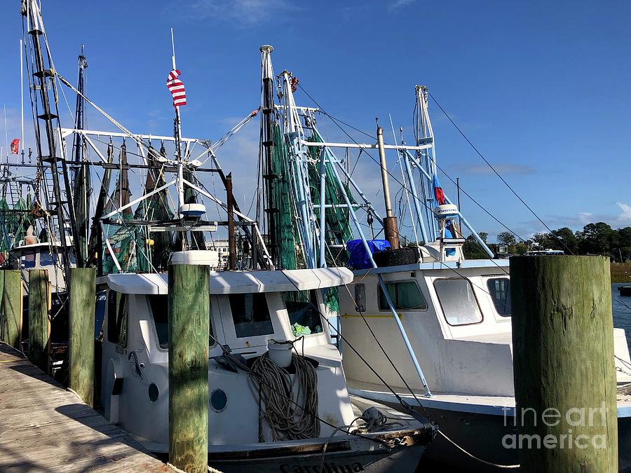 Shrimp Boats Photograph by Flavia Westerwelle