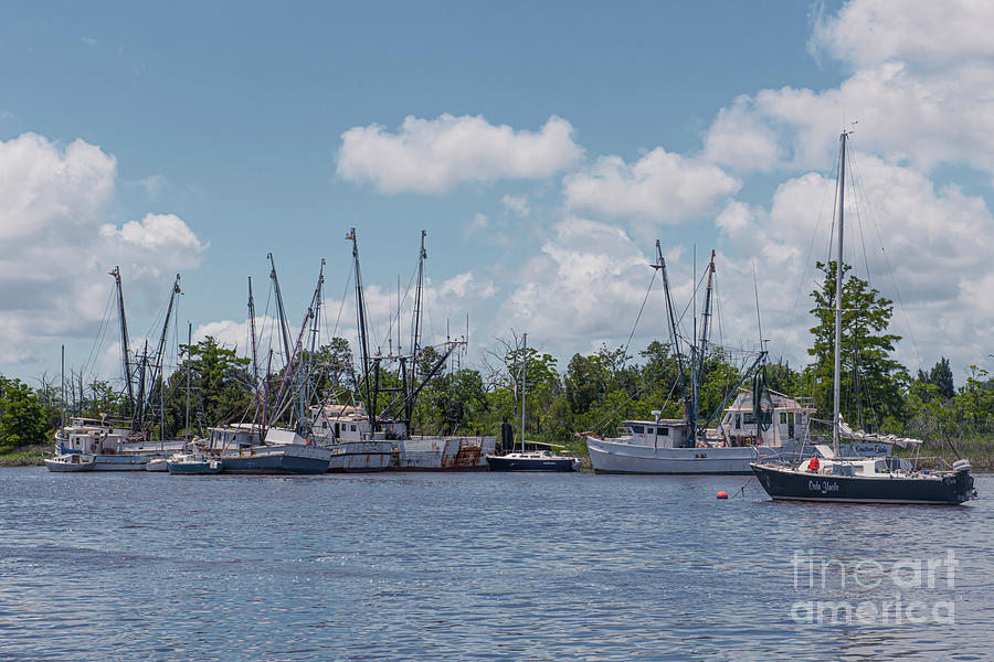 Shrimp Boats in Georgetown SC Photograph by Dale Powell