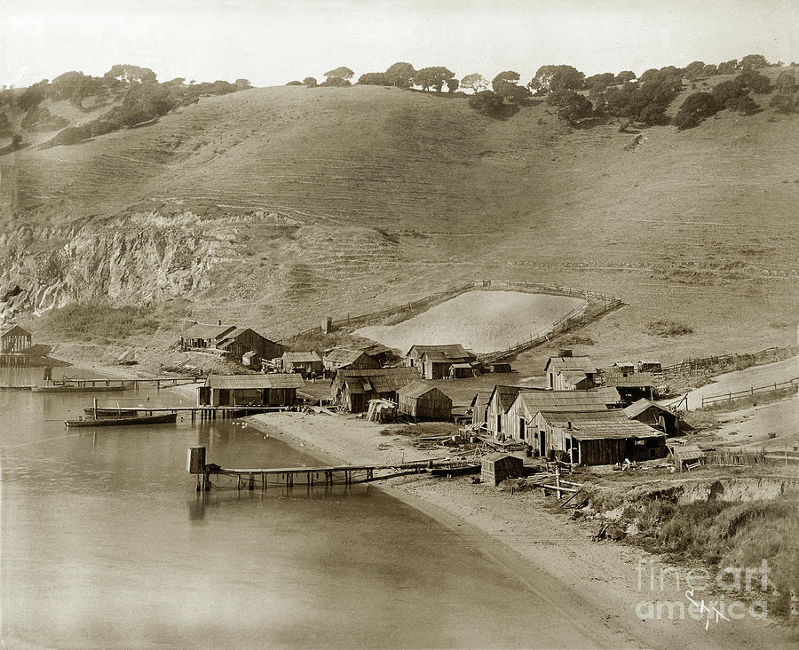Beach Photograph - Shrimp Camp at Point San Pedro Marin County, Circa 1889 by Monterey County Historical Society