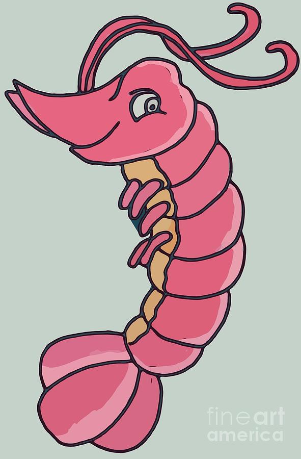 cute shrimp drawing
