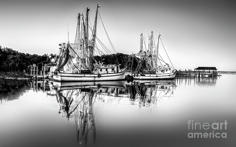 Shrimpboats at Bay Photograph by Shelia Hunt