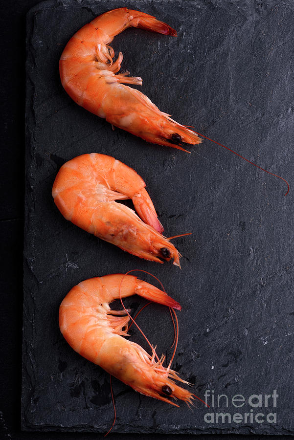 Shrimps on black slate Photograph by Jelena Jovanovic