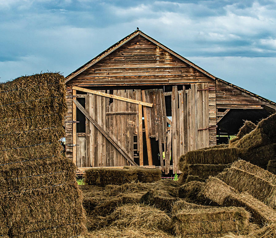 Shut the Barn Door Photograph by Theresa Peterson - Fine Art America