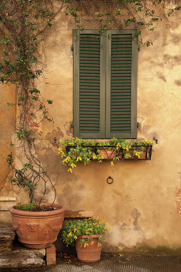 Castelmuzio, Tuscany, Italy Photograph by Sarah Howard