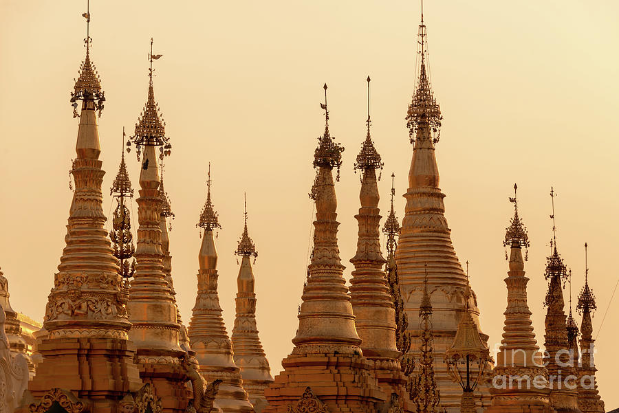Shwedagon pagoda in Yangon Photograph by Delphimages Photo Creations