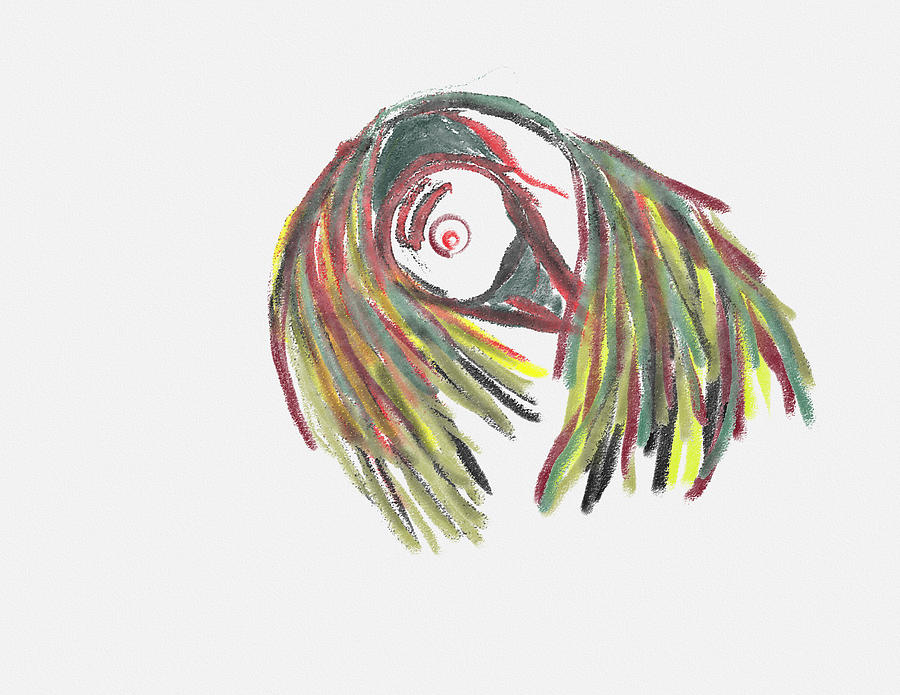 Shy Bird Drawing by Steve Carpentier