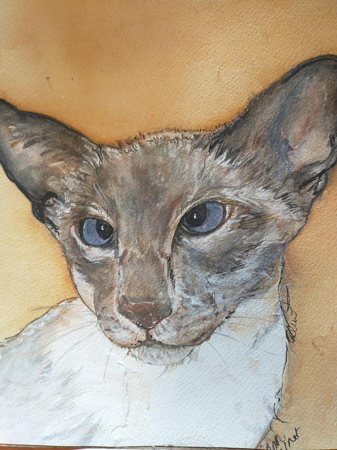 Siamese Cat  Painting by Alison Steiner