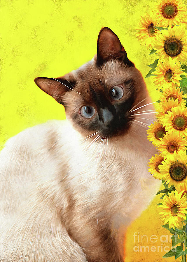 Siamese Cat and Sunflowers  Mixed Media by Elaine Manley