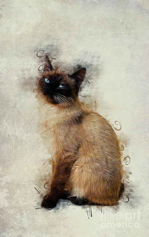 Siamese Cat Art Painting