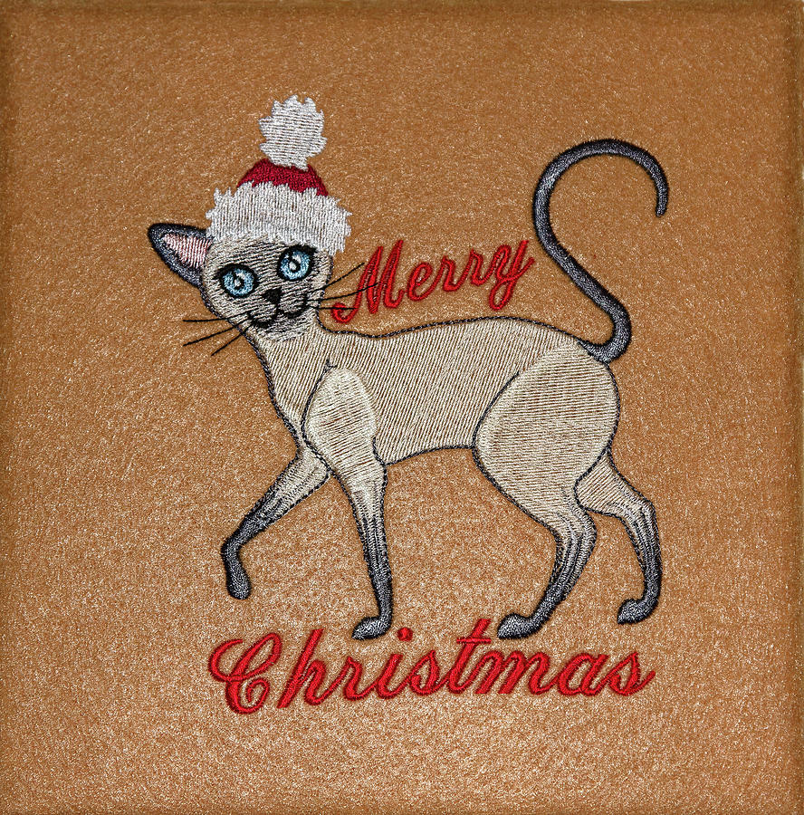 Siamese Cat at Christmas Photograph by Sally Weigand