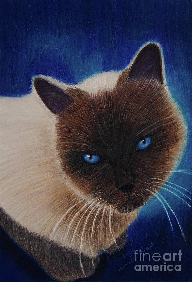 Siamese Cat Painting by Dorothy Lee