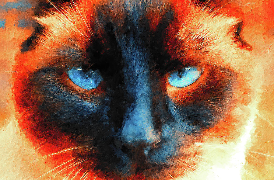 Siamese cat face close-up - blue and orange digital painting Digital Art by Nicko Prints