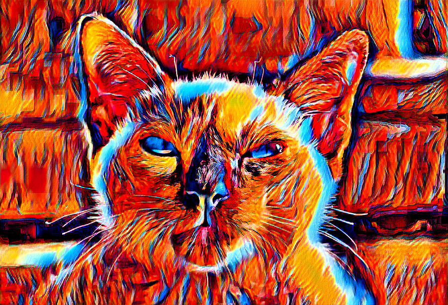 Siamese cat face in the sun - colorful dark orange, red and cyan Digital Art by Nicko Prints