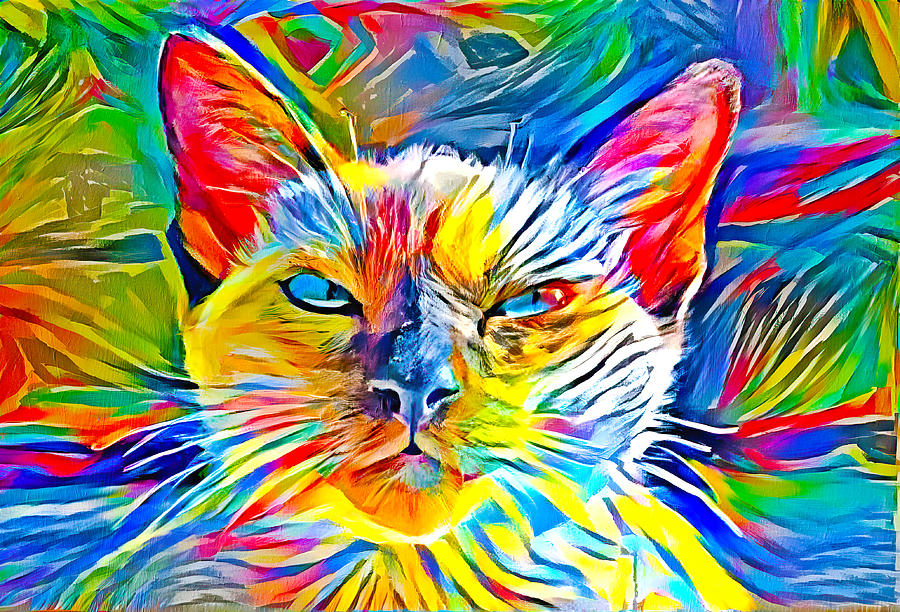 Siamese cat face in the sun - colorful zebra pattern painting Digital Art by Nicko Prints