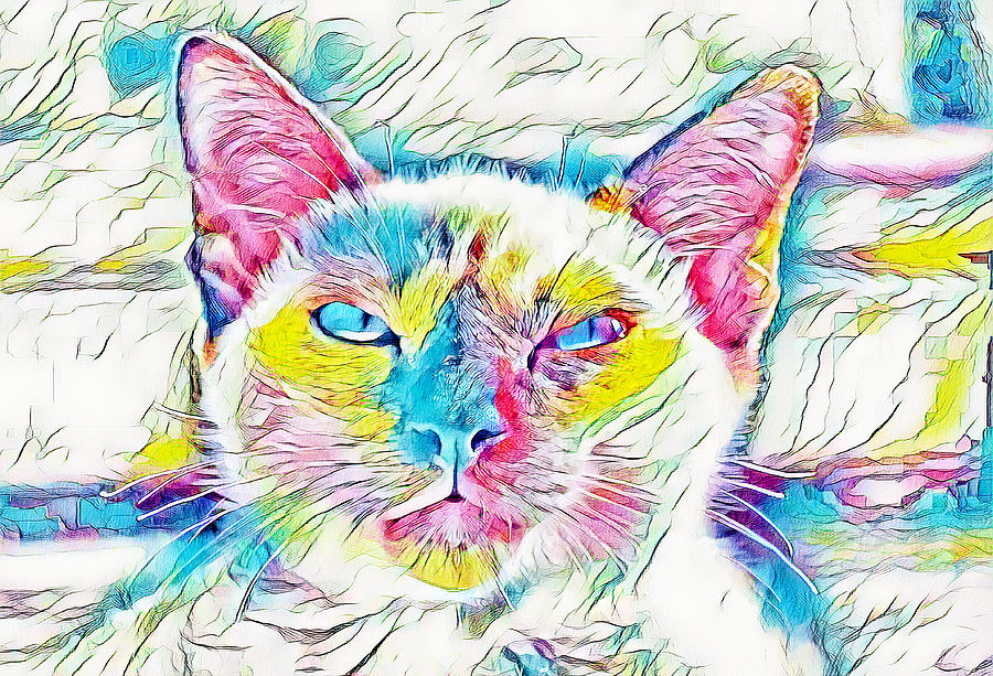 Siamese cat face in the sun - warm pastel colors Digital Art by Nicko Prints