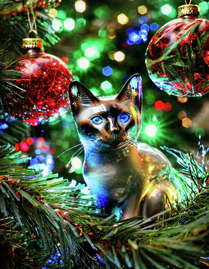 Siamese Cat Glass Christmas Ornament 3 Digital Art by David Smith