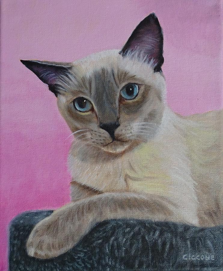Siamese Cat Painting by Jill Ciccone Pike