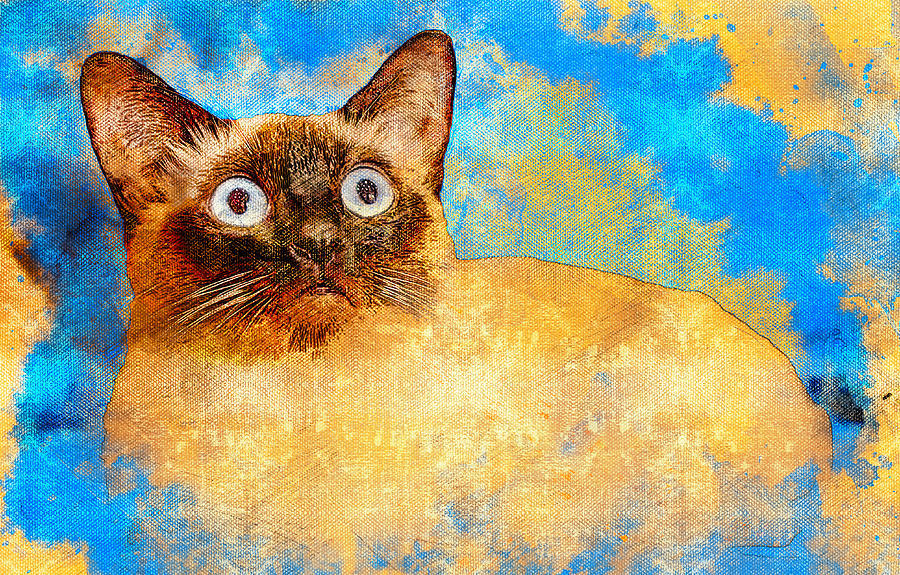Siamese cat with a worried expression - digital painting Digital Art by Nicko Prints